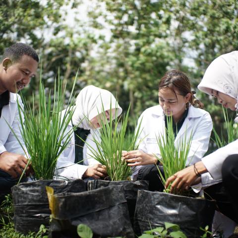 Surat Bebas Laboratorium Agronomi
