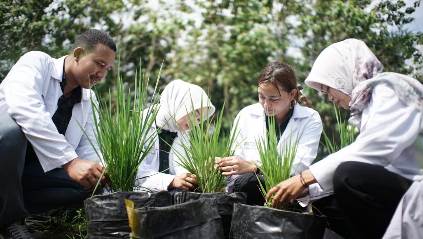 Surat Bebas Laboratorium Agronomi