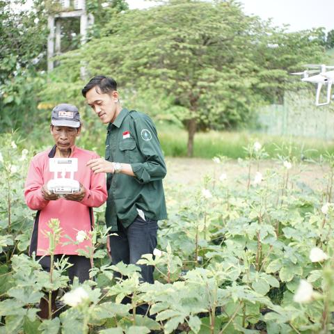 Surat Bebas UPT Kebun