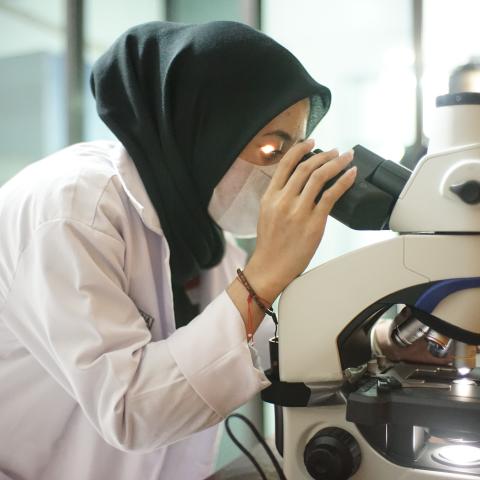 Surat Bebas Laboratorium Proteksi