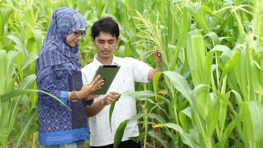 PENGARUH PUPUK ORGANIK LIMBAH KULIT KOPI TERHADAP PERTUMBUHAN DAN HASIL BAWANG MERAH