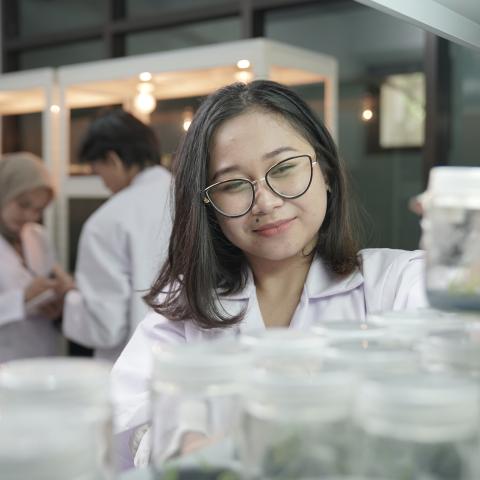 RESPON PERTUMBUHAN BIBIT ANGGREK BULAN TERHADAP MACAM PUPUK