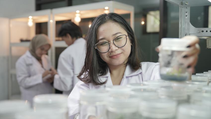 RESPON PERTUMBUHAN BIBIT ANGGREK BULAN TERHADAP MACAM PUPUK