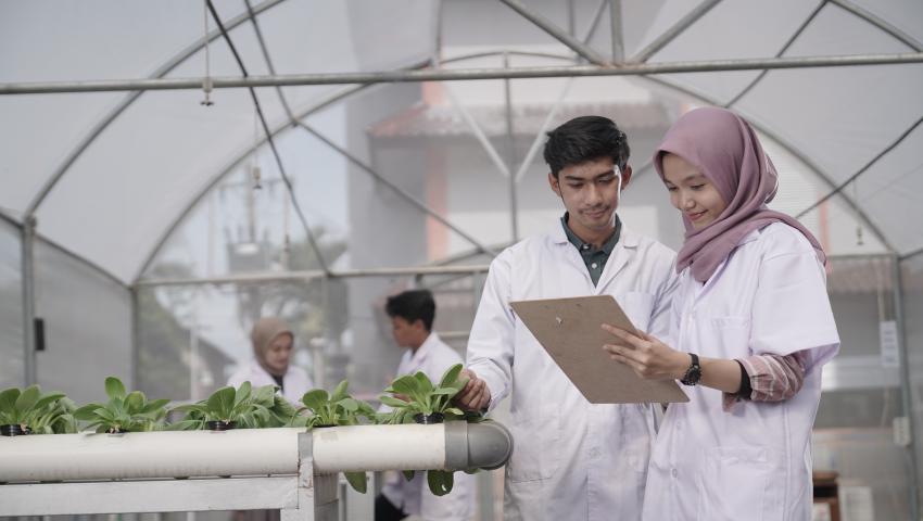 PENGARUH PENGGUNAAN LIMBAH SOLID KELAPA SAWIT SEBAGAI MEDIA PERTUMBUHAN JAMUR MERANG